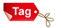 Website Tag